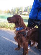 Zara kuuntelee, hieno huivi ;)