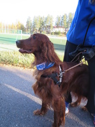 Zara kuuntelee, hieno huivi ;)