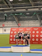 Iirikselle hopeaa kiekossa